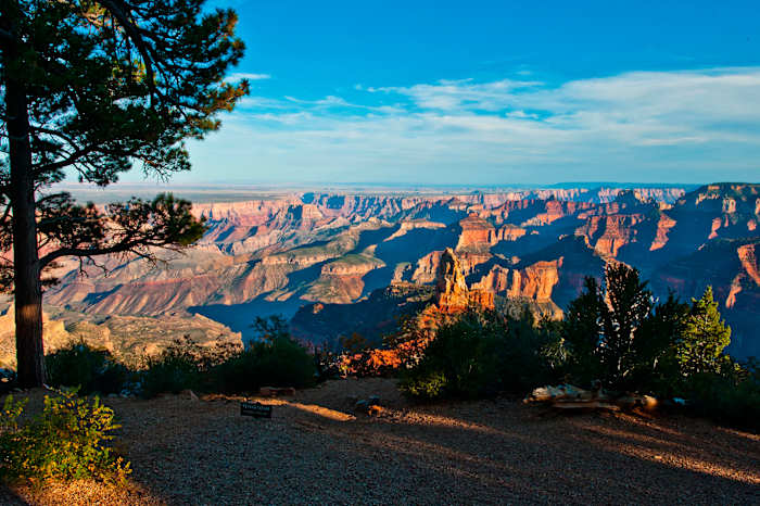 grand-canyon-trail-running.jpg